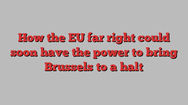 How the EU far right could soon have the power to bring Brussels to a halt
