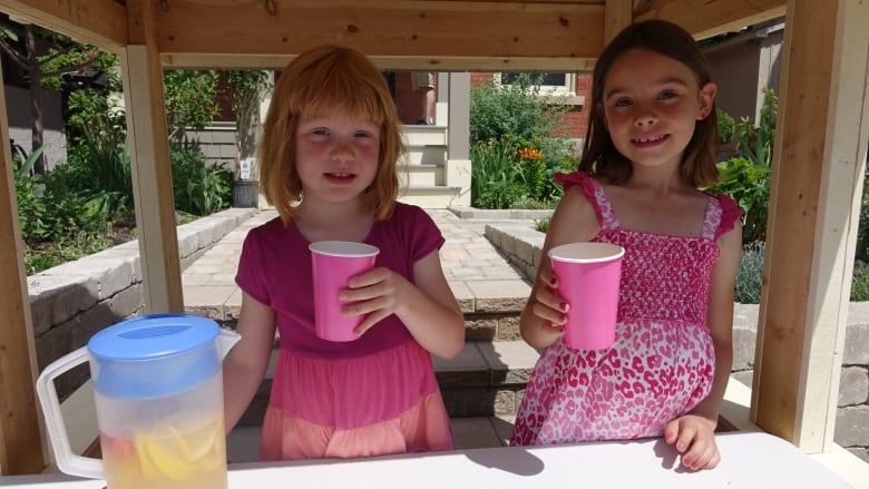 Eliza and her five-year-old sister Adela Andrews set up a lemonade stand in July 2016, to raise money for summer camp.