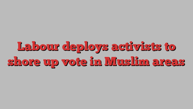 Labour deploys activists to shore up vote in Muslim areas