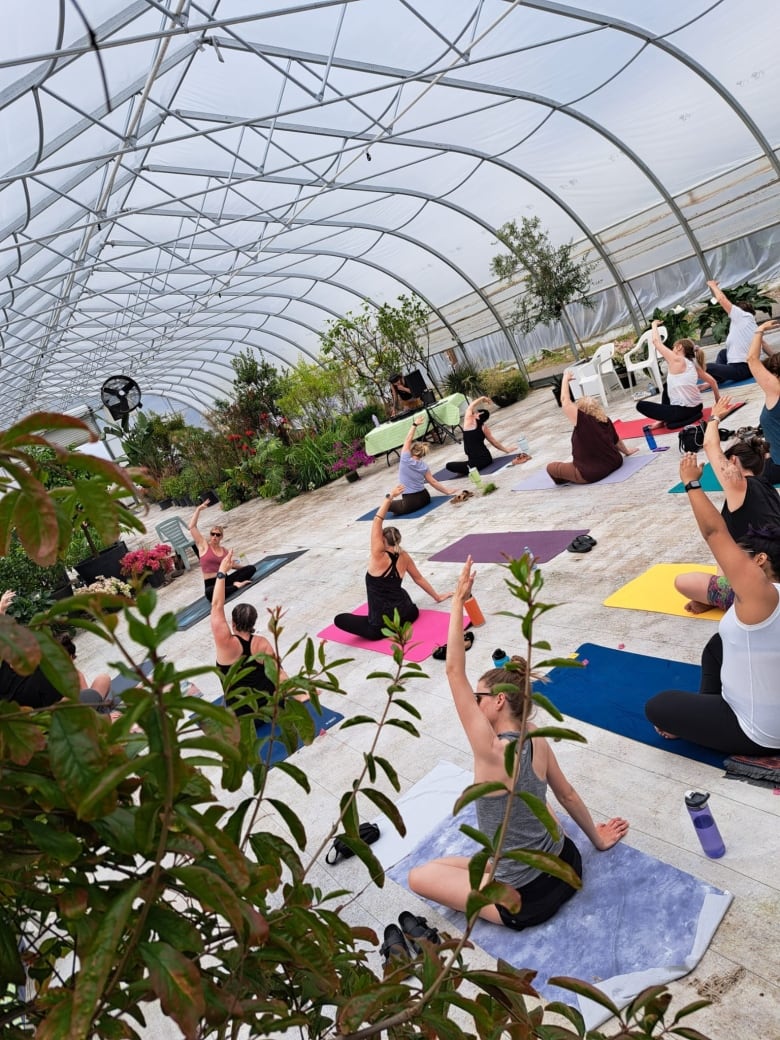 Women hold various poses on colourful yoga mats.