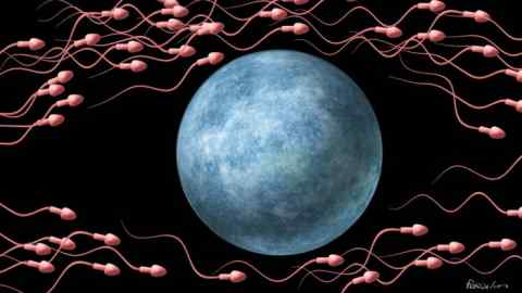 James Ferguson illustration of a planet-like egg being avoided by sperms.