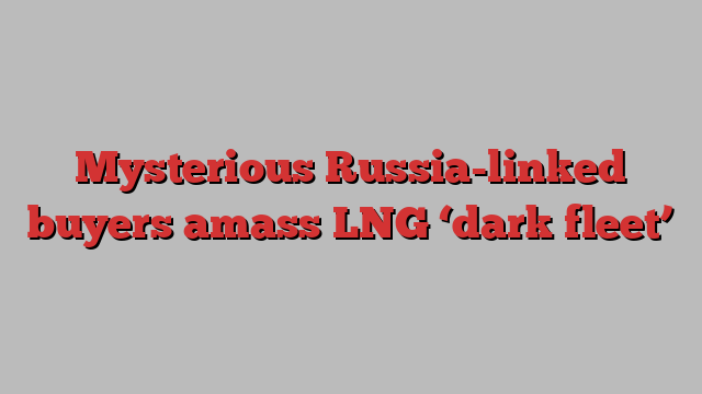 Mysterious Russia-linked buyers amass LNG ‘dark fleet’