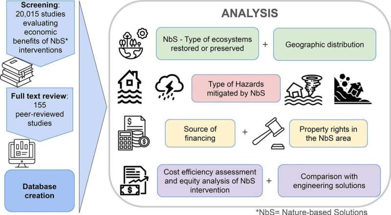 Nature-based solutions to disaster risk from climate change are cost-effective, study confirms