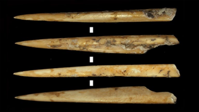 7,000-Year-Old Deer Bones Reveal Secrets of Ancient Neolithic Tool Manufacturing