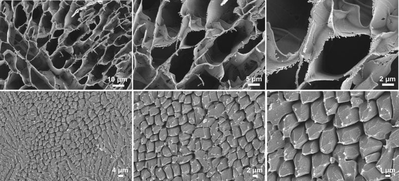 Water Ice Microstructures