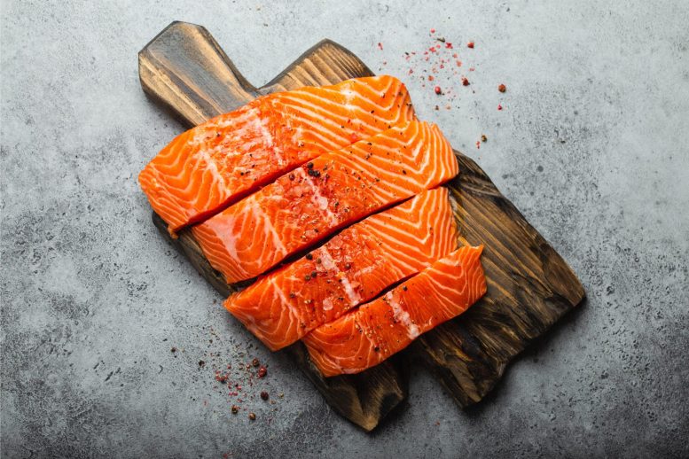 Raw Salmon Filet