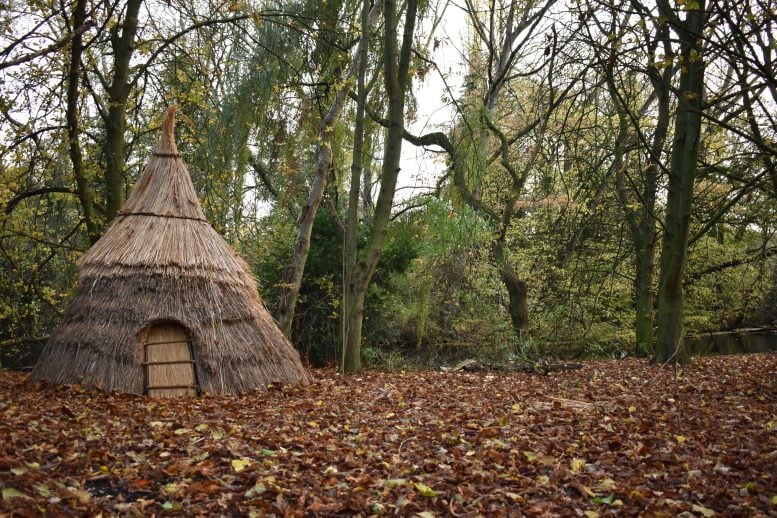 Reconstructed Dwelling of a Hunter Gatherer Community