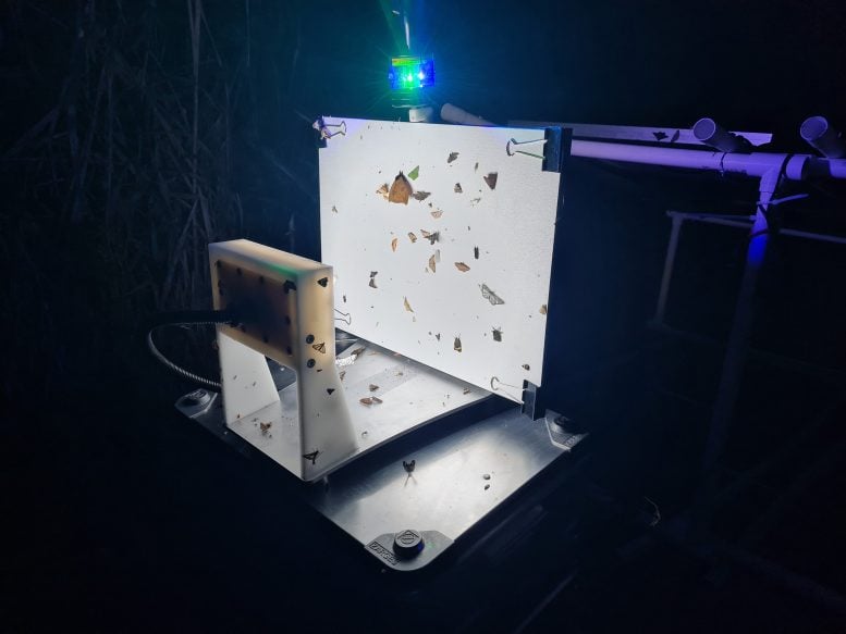 Autonomous Insect Camera Trap