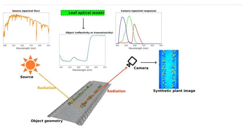 New radiative transfer modeling framework enhances deep learning for plant phenotyping