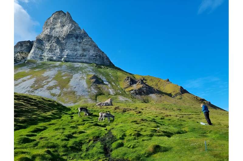 Non-native species are threatening vulnerable Svalbard plant life