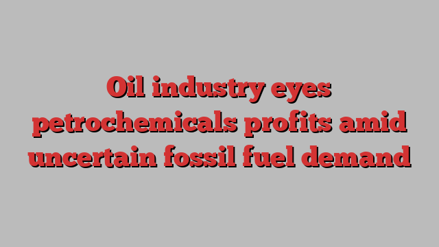 Oil industry eyes petrochemicals profits amid uncertain fossil fuel demand