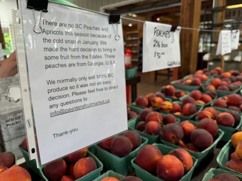 Boxes of peaches sit on a market table with a sign above them informing customers that the peaches are not locally grown but from the US.