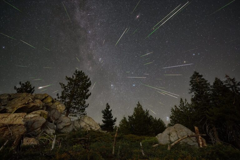 Don’t Miss the Delta Aquariid Meteor Shower Light Up the Night Sky