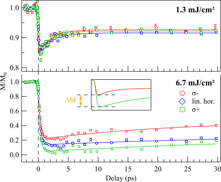 Magnetization Dynamics Induced by Femtosecond XUV Pulses