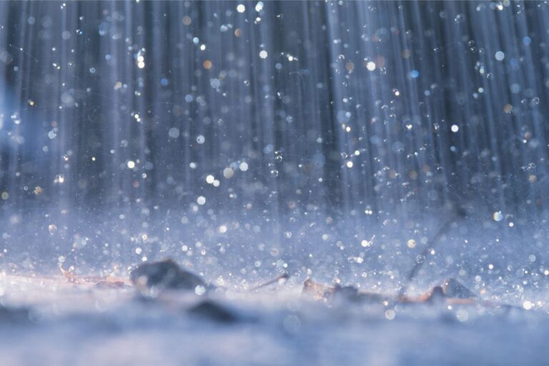 New Research Suggests That Humans Are Causing Unprecedented Shifts in Rainfall Patterns