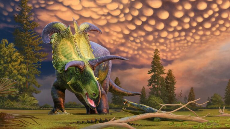 New Dinosaur Wields Spectacular Blade-Like Horns