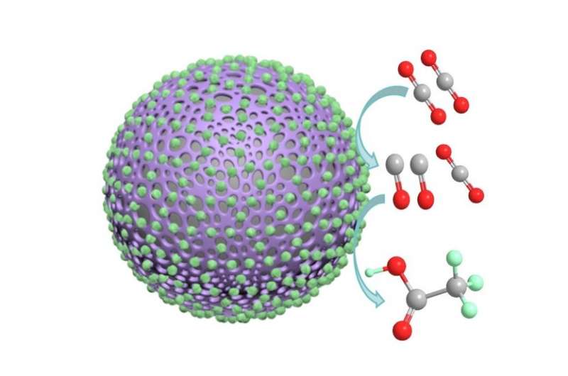 Reducing carbon dioxide to acetate with a polyaniline catalyst coated in cobalt oxide nanoparticles