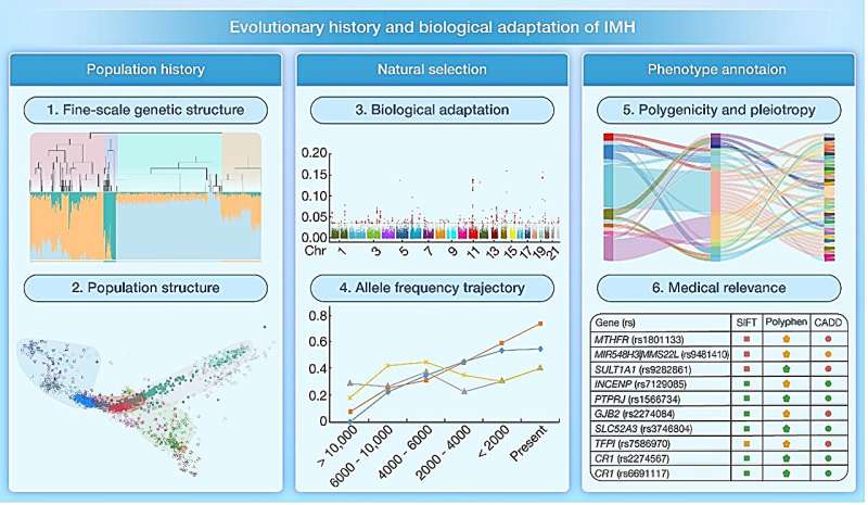 Evolutionary history and biological adaptation of Han Chinese people on the Mongolian Plateau