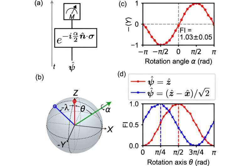 Recent research demonstrates how to build 'time-traveling' quantum sensors