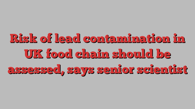 Risk of lead contamination in UK food chain should be assessed, says senior scientist