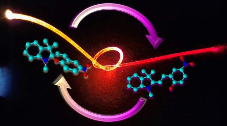 Dye Doped PDMS Optical Fiber