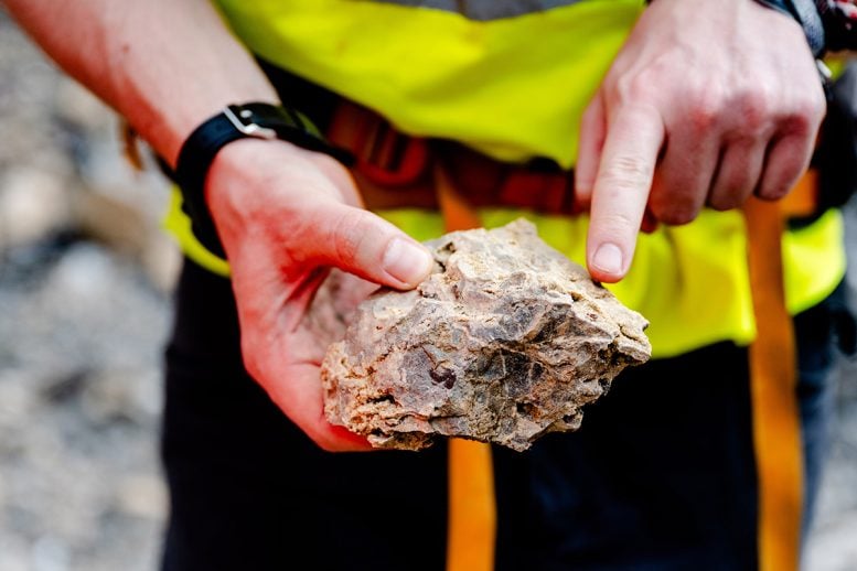 Porous Dolomite Rock With Cavities