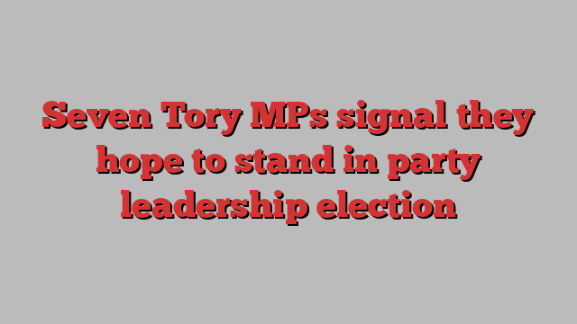 Seven Tory MPs signal they hope to stand in party leadership election