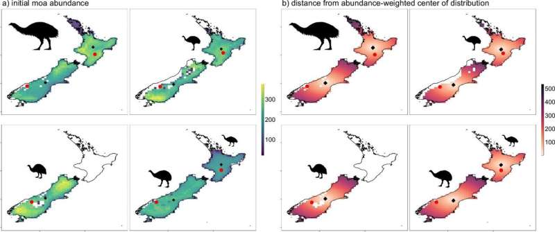 Ghosts of species past: Shedding new light on the demise of NZ's moa can help other flightless birds