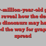 Sixty-million-year-old grape seeds reveal how the death of the dinosaurs may have paved the way for grapes to spread
