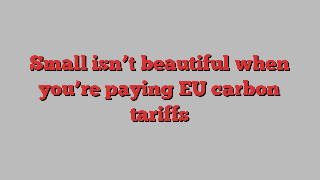 Small isn’t beautiful when you’re paying EU carbon tariffs