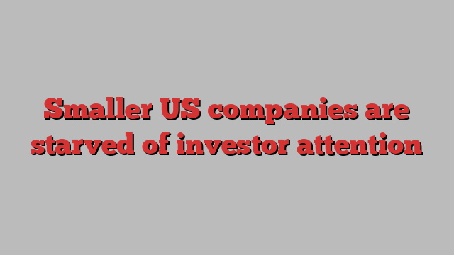 Smaller US companies are starved of investor attention