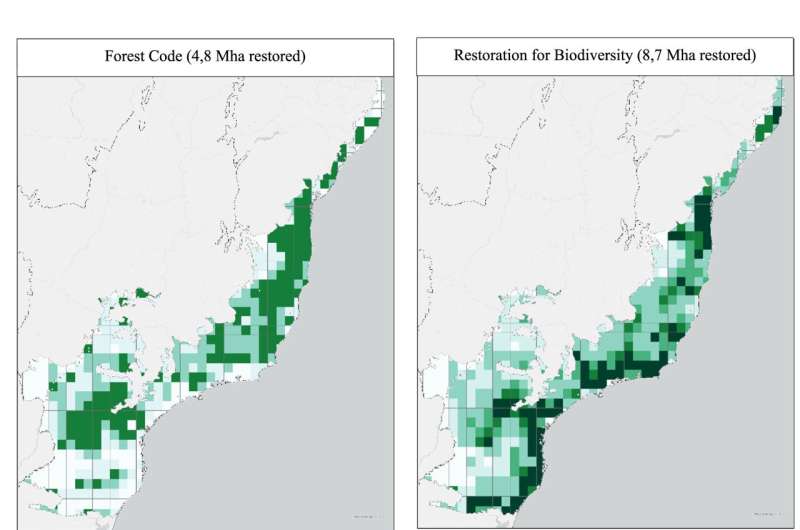 Smallholder farmers, efficient ranching practices critical to meet restoration targets in Brazil's Atlantic Forest