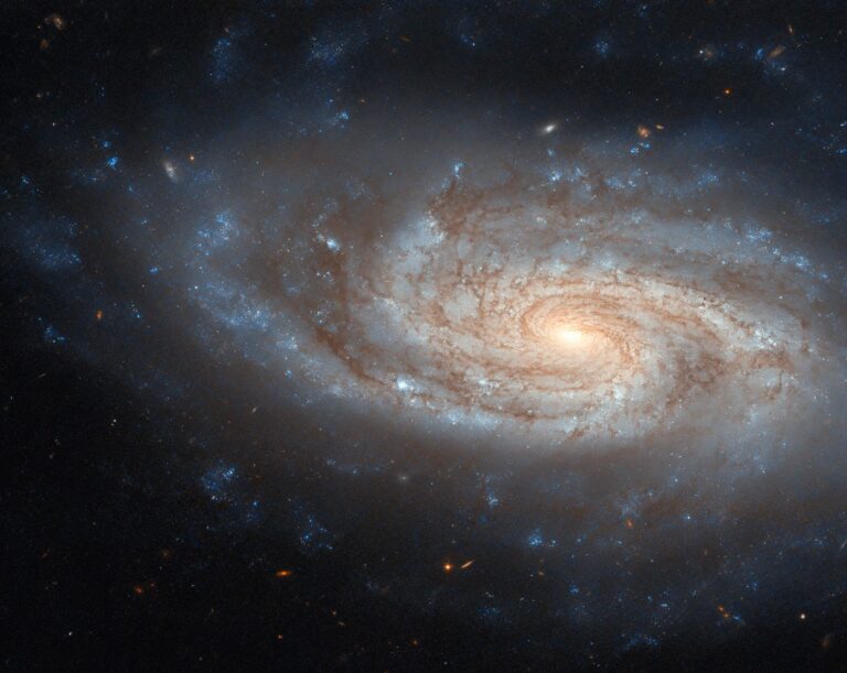 Unraveling the Spiral Wonders of the Universe