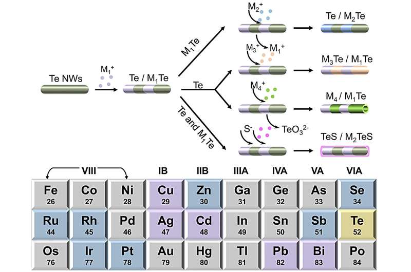 Stress-induced ordering evolution of 1D segmented heteronanostructures