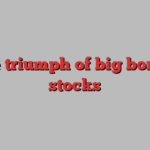 The triumph of big boring stocks
