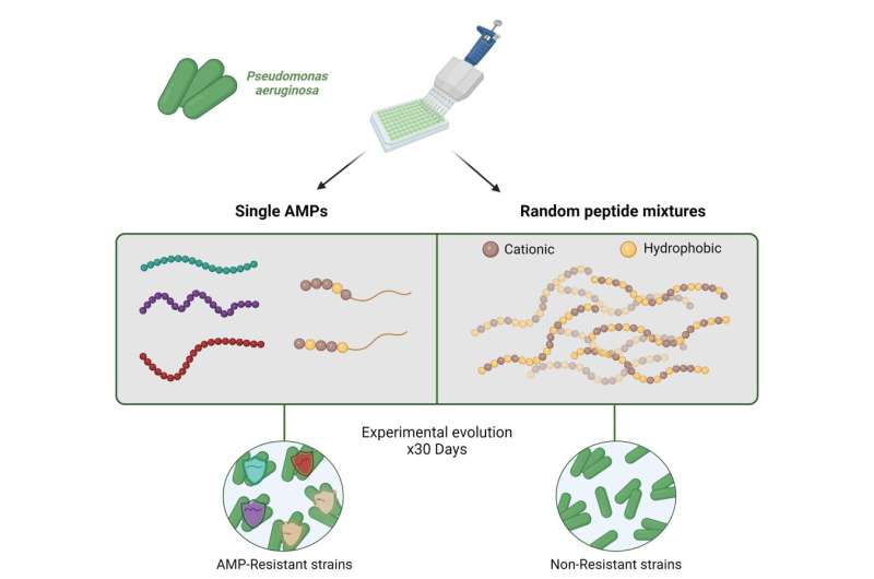 Treatment with a mixture of antimicrobial peptides can impede antibiotic resistance