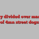 Turkey divided over mass cull of 4mn street dogs