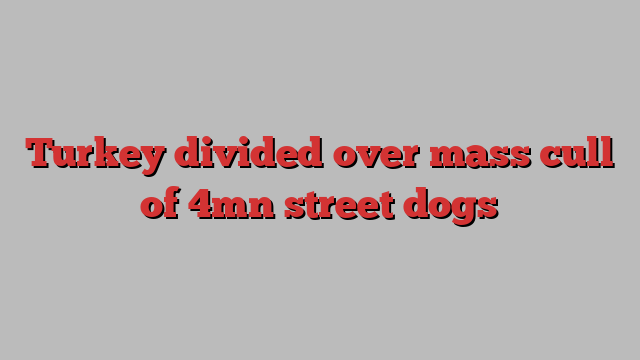 Turkey divided over mass cull of 4mn street dogs