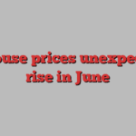 UK house prices unexpectedly rise in June