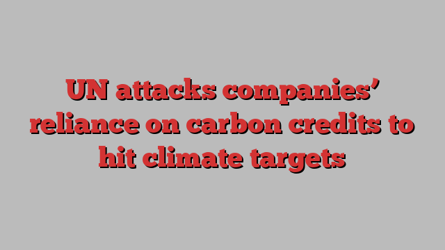 UN attacks companies’ reliance on carbon credits to hit climate targets