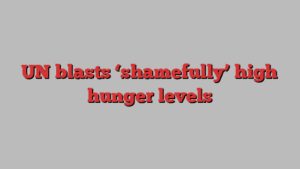 UN blasts ‘shamefully’ high hunger levels