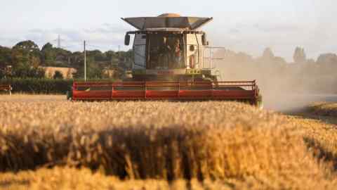 A combine harvester in a wheat field in Essex