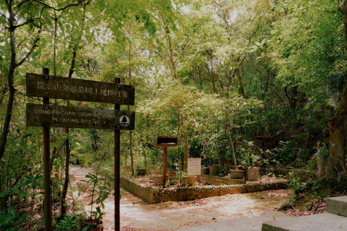 The entrance to the Chinese herb garden in Lung Fu Shan Country Park