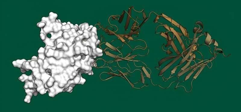 Using AI, CIPHER bird flu study shows greater antibody evasion in newer H5N1 strains