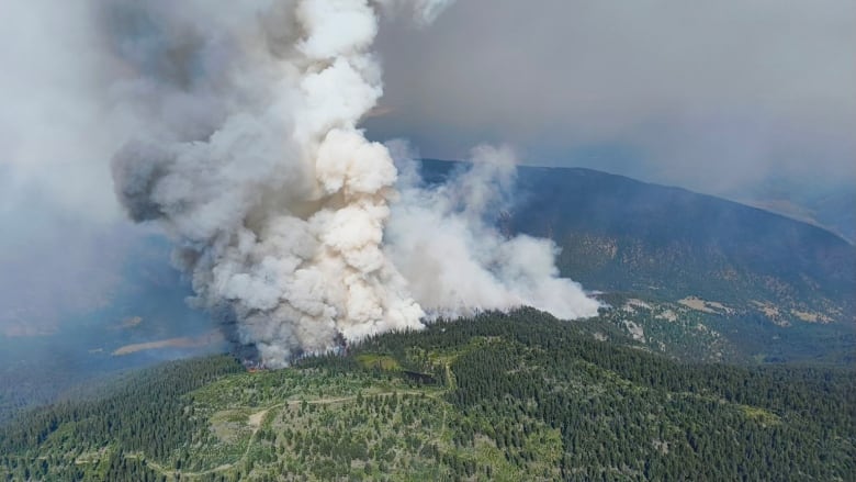 Smoke rises from a forested area.