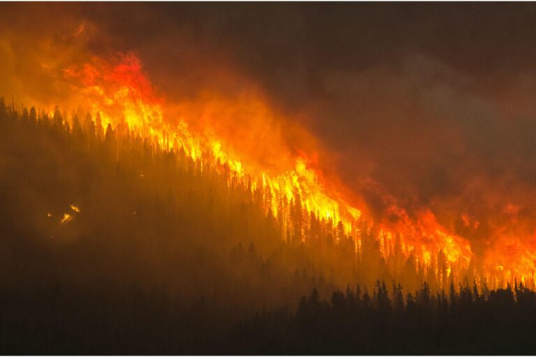 Canada’s 2023 Wildfire Season: An Unprecedented Environmental Catastrophe