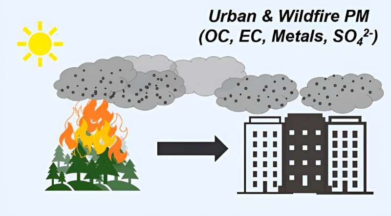 Wildfires in Ontario and Manitoba affect air quality in Montreal