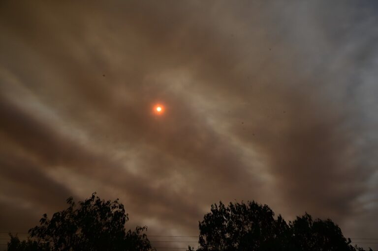 Fires in Brazil’s Pantanal push wetlands community to limit