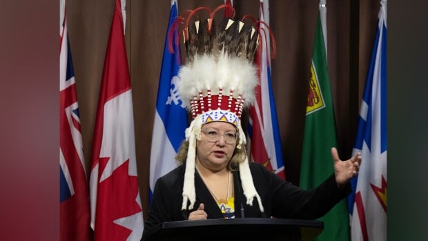 Air Canada has new policy on sacred items in the cabin after incident with national chief’s headdress