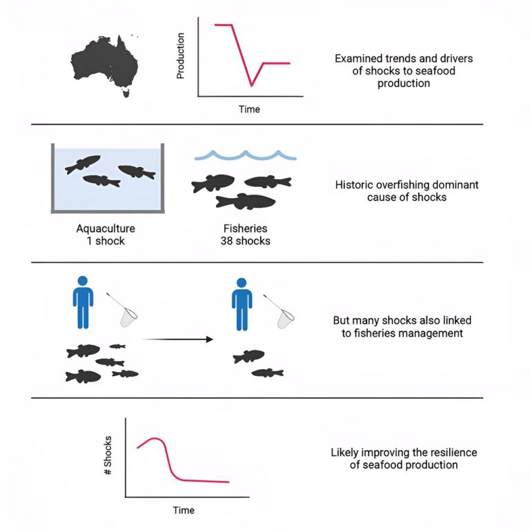 Better management of the Australian seafood industry can create resilience to food shocks